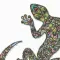 Gecko