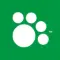 Iams
