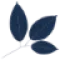 Phyto