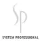 System Professional