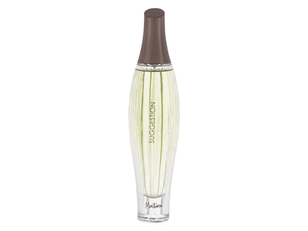 Montana Suggestion Pour Lui Eau de Toilette 100 ml