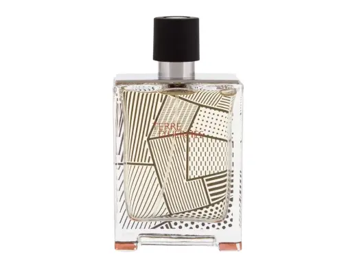 Hermes Terre d'Hermes Flacon H 2020 Eau de Toilette 100 ml