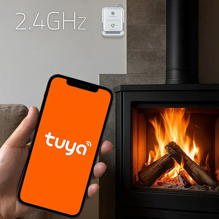 Qoltec Certified Natural Gas Leak Sensor | CH4 detector | NG | Tuya | Wi-Fi | 85dB alarm | LED