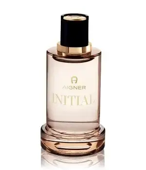 Aigner Initial (EDT) туалетная вода для мужчин 100 мл