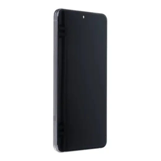 LCD for Samsung Galaxy S21 FE 