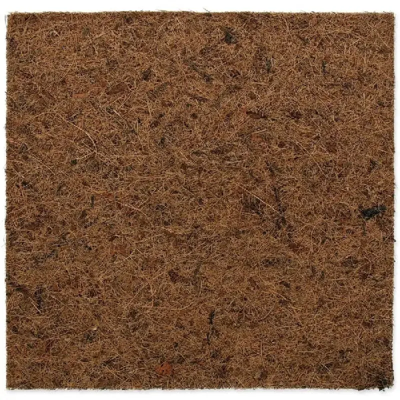 Fons terārijam : Repti Planet Coco Background 30x30cm
