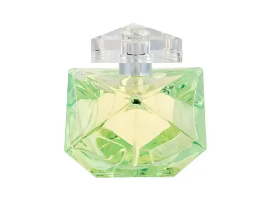 Britney Spears Believe Eau de Parfum 100 ml