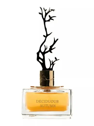 Aurora Deciduous Autumn (EDP) parfimērijas ūdens sievietēm 100 ml