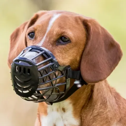 Uzpurnis suņiem - Trixie Muzzle, Plastic. Size L, 32 cm, 8cm