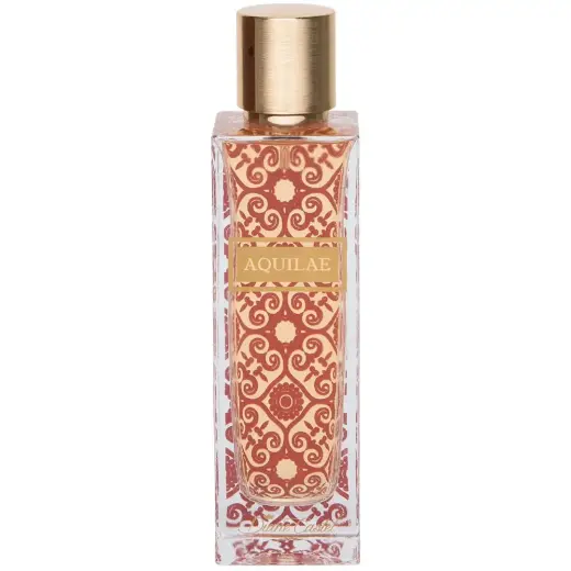 Diane Castel Aquilae (EDP) Eau de Parfum for Women 100 ml
