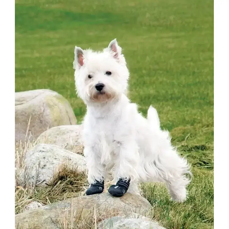Aizsardzības apavi suņiem - Trixie Walker Active Protective Boots "S" 2gab, Yorkshire Terrier