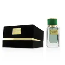 Dolce Gabbana Velvet Cypress EDP 150ml
