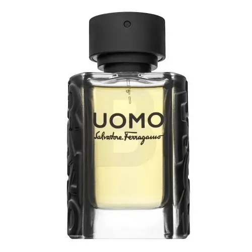 Salvatore Ferragamo Uomo Eau de Toilette for men 50 ml