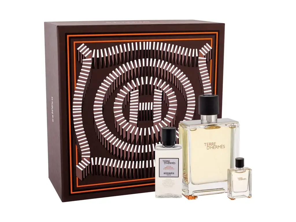 Hermes Terre d'Hermes Eau de Toilette 100 ml