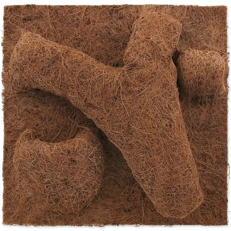 Fons terārijam : Repti Planet Coco Planter 30x30cm