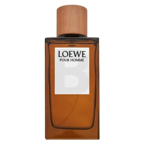 Loewe Pour Homme Eau de Toilette for men 150 ml
