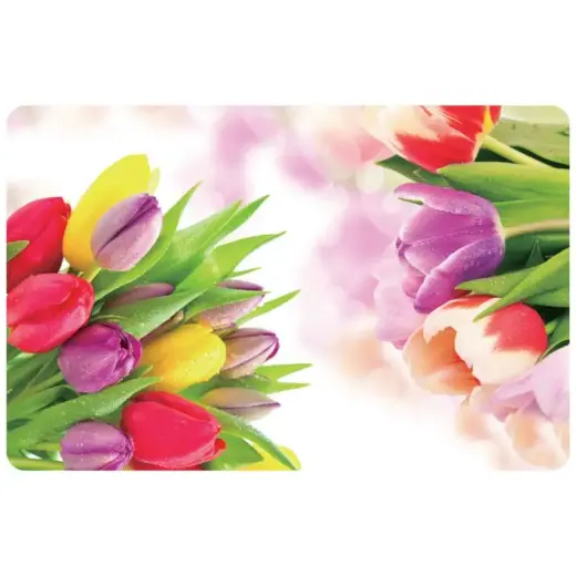 Galda paliktnis 43,5x28cm tulpe 
