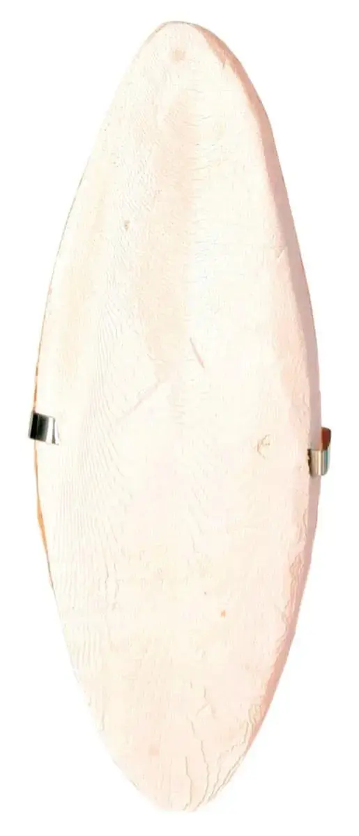 Sēpija putniem - Trixie Cuttle Fish Bone with Holder 16cm,