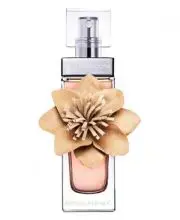 Banana Republic Wildbloom (EDP) Eau de Parfum for Women 100 ml