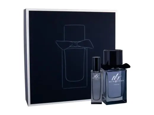 Burberry Mr. Burberry Indigo Eau de Toilette 100 ml