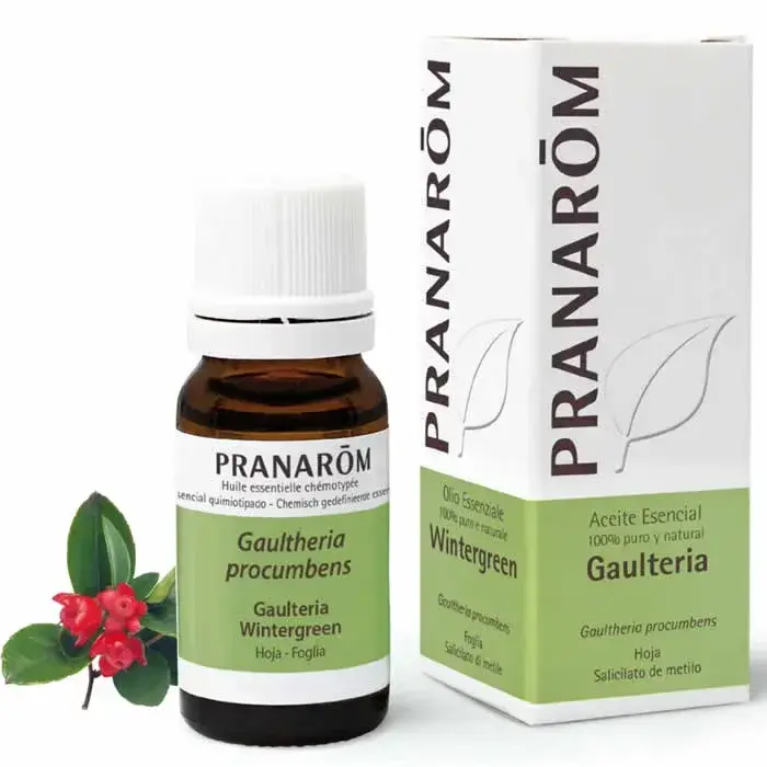 PRANARÔM Pranarom Wintergreen Leaf Essential Oil