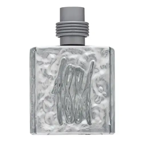 Cerruti 1881 Silver Tualetes ūdens vīriešiem 100 ml