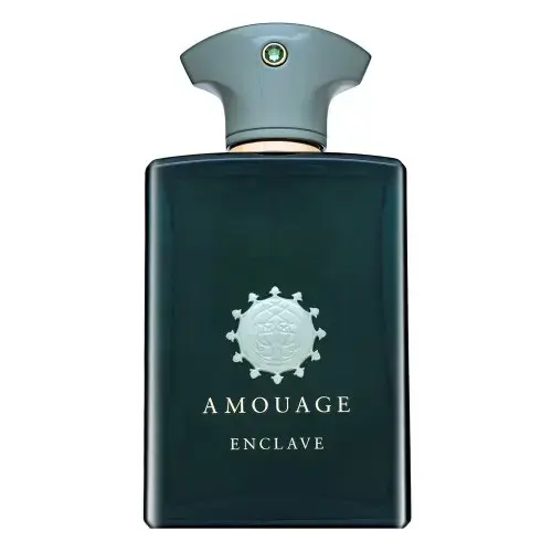 Amouage Enclave parfémovaná voda pro muže 100 ml