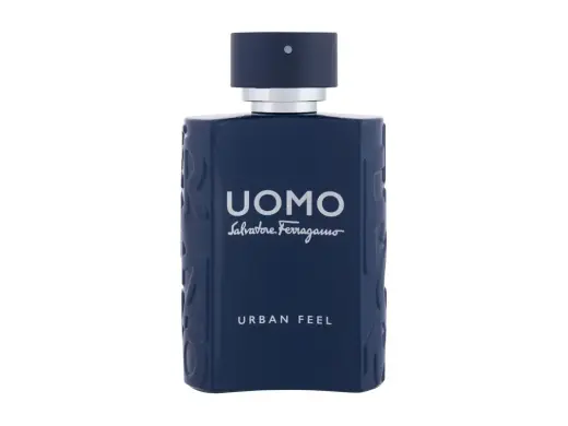 Ferragamo Uomo Urban Feel Eau de Toilette 100 ml