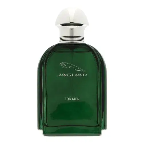 Jaguar Jaguar for Men Tualetes ūdens vīriešiem 100 ml