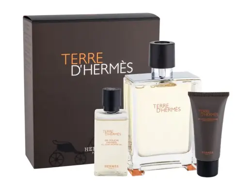 Hermes Terre d'Hermes Eau de Toilette 100 ml