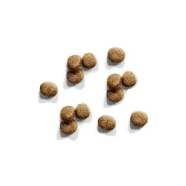 Sausā barība kaķēniem - IAMS CAT KITTEN CHICKEN, 10 kg