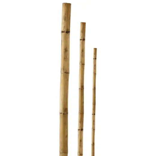 Bamboo stake 150cm 1pc