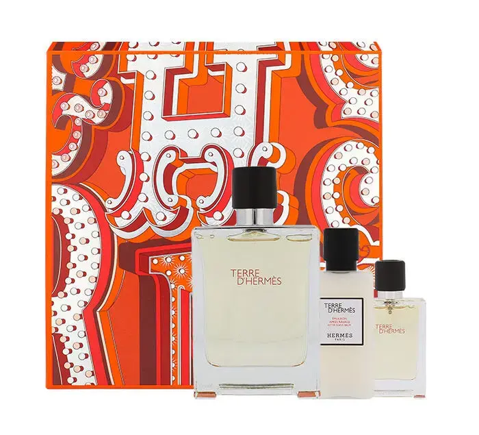 Hermes Terre d'Hermes Eau de Toilette 100 ml
