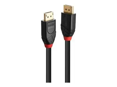 Lindy - DisplayPort cable - DisplayPort to DisplayPort - 10 m