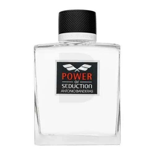 Antonio Banderas Power of Seduction Eau de Toilette for men 200 ml