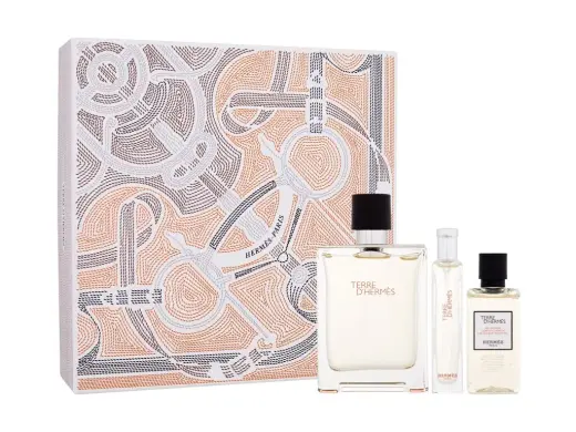 Hermes Terre d'Hermes Eau de Toilette 100 ml