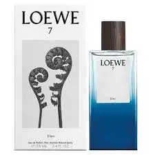 Loewe 7 Elixir (EDP) parfüümvesi meestele 100 ml