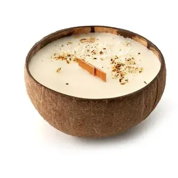 Tropikalia Candle in Coconut - coconut