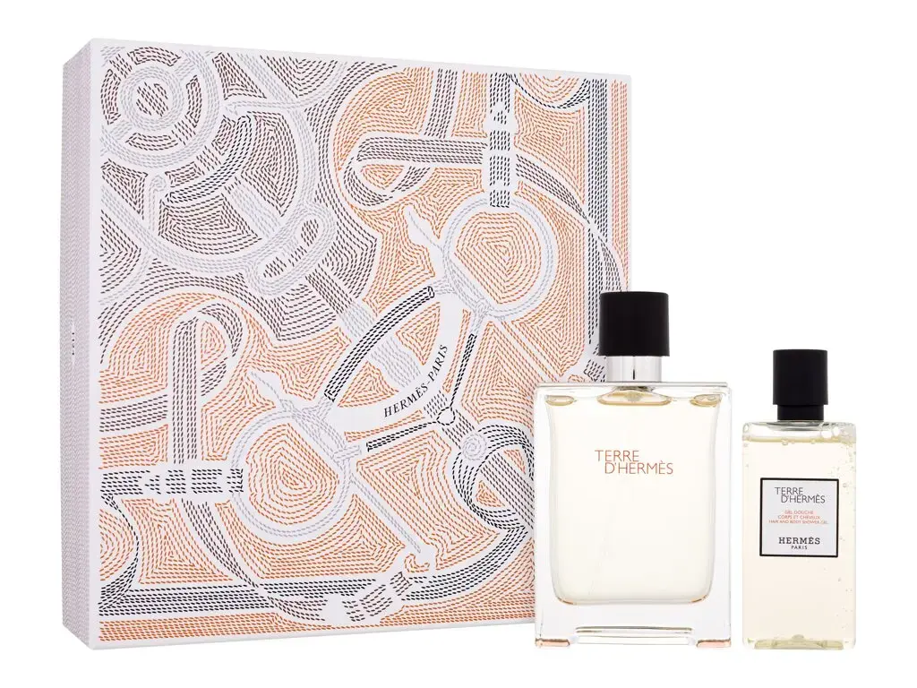 Hermes Terre d'Hermes SET3 Eau de Toilette 100 ml
