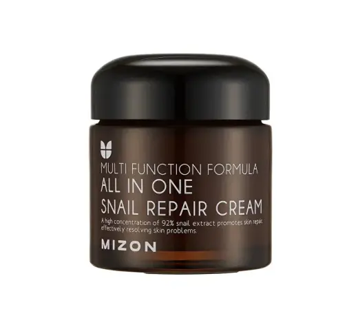 MIZON All in One Snail Repair Cream (75g)