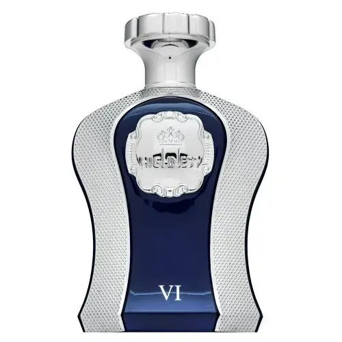 Afnan Highness VI parfimērijas ūdens vīriešiem 100 ml