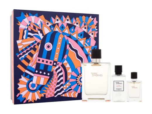 Hermes Terre d'Hermes Eau de Toilette 100 ml