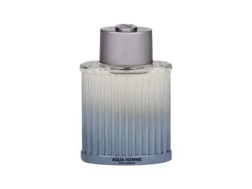 Nuvo Parfums Aqua Eau de Toilette 100 ml