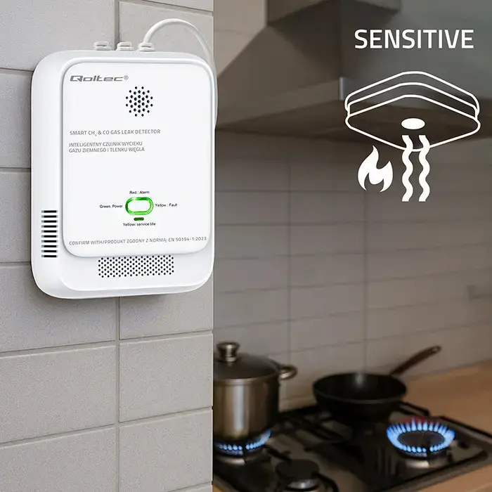 Qoltec Certified wireless Gas Leak (CH4) and Carbon monoxide (CO) detector | alarm 85dB | LED