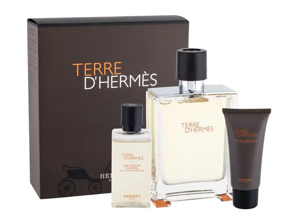 Hermes Terre d'Hermes Eau de Toilette 100 ml