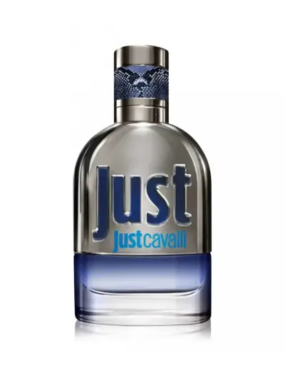 Roberto Cavalli, Just Cavalli, Eau De Toilette, For Men, 90 ml *Tester