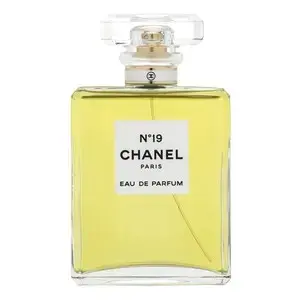 Chanel No 19 (EDP) parfumuotas vanduo moterims 100 ml