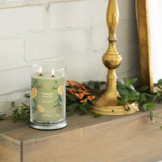 Debenhams Unisex Signature Large Tumbler Candle - Sage & Citrus 567g in Green | Size: 567 G