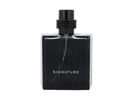 Nino Cerruti Cerruti 1881 Signature Eau de Parfum 100 ml