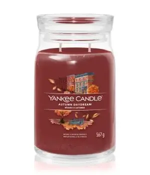 Debenhams Autumn Daydream Signature Large Jar Candle